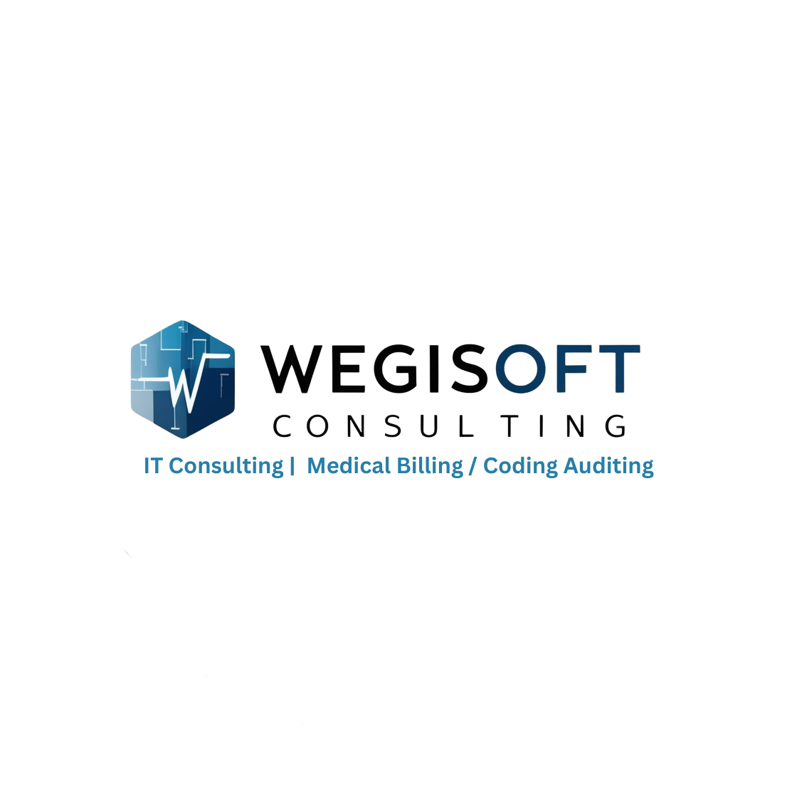 WEGiSOFT Logo Final